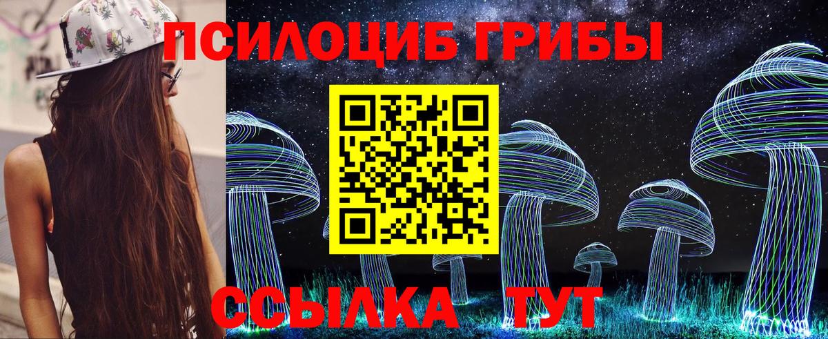 Обнинск  Галлюциногенные грибы прущие грибы  Вход с VPN 
