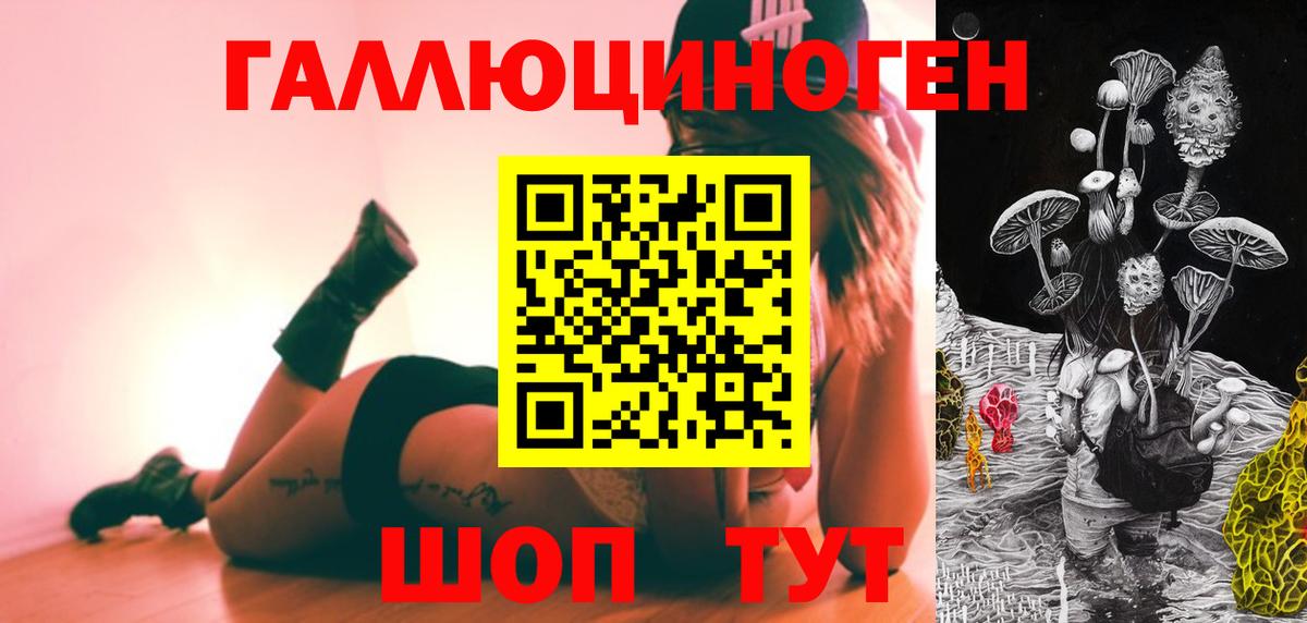 Псилоцибиновые грибы мицелий Обнинск
